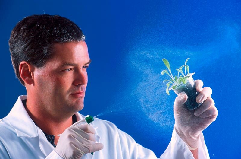 купить диплом биолога биолог